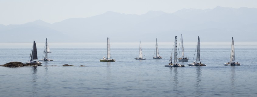 The fleet under human power along the shoreline south of Victoria.